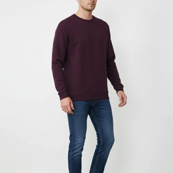 velvom-men-full-sleeve-tshirt-grape-model-front
