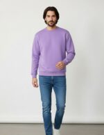 velvom-men-full-sleeve-tshirt-lavender-model-standing